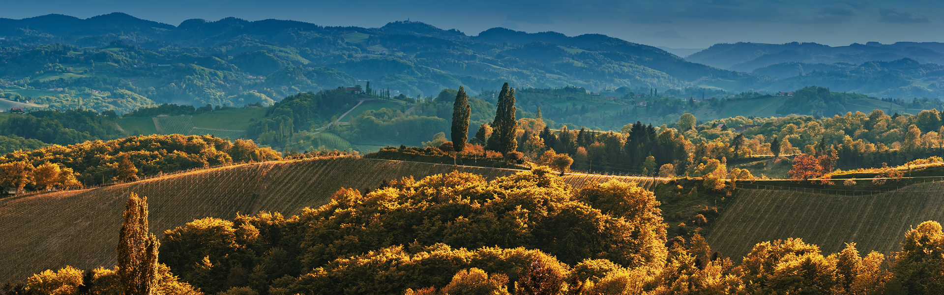 Luxury Car Background